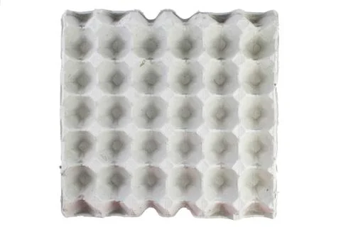 Egg panel isolated Fotos Stock
