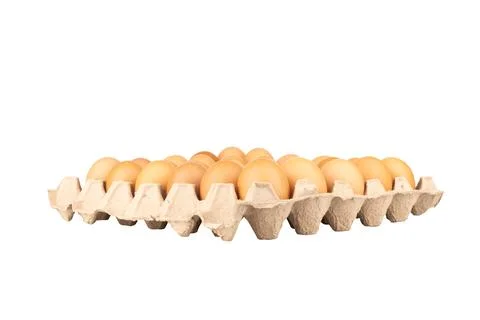 Egg panel isolated on white background Stock Photos