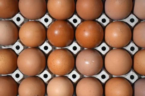 Egg panel Top View Background Foto stock