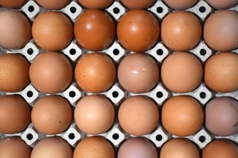 Egg panel Top View Background Stock Photos