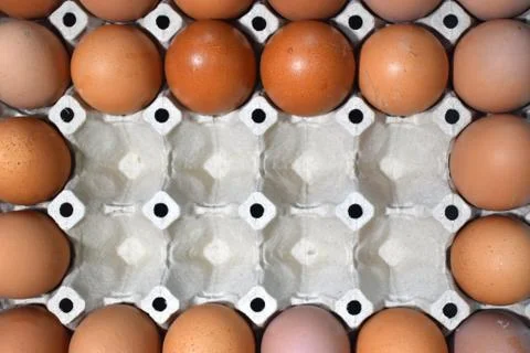 Egg panel Top View Background Stock Photos