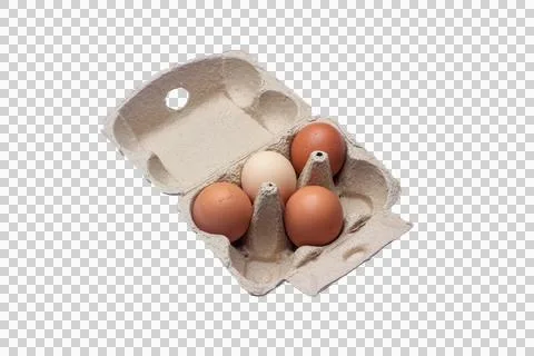 Egg on paper box isolated on transparent background Stock Photos