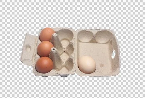 Egg on paper box isolated on transparent background commercial photo PNG file. Stock Photos