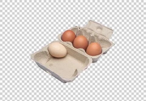 Egg on paper box isolated on transparent background Stock Photos