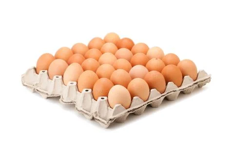 Egg in paper panel Stock Photos