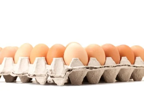 Egg in paper panel Stock Photos