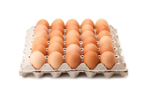 Egg in paper panel Stock Photos