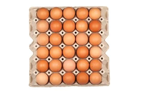 Egg in paper panel Stock Photos