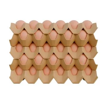 Egg Paper Tray Front View 3D Render Illustration Stock Illustration