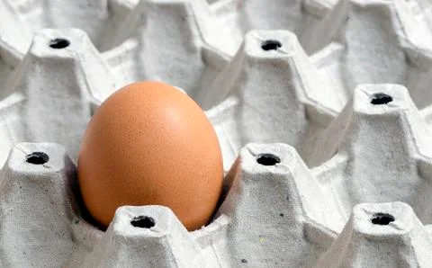 Egg on paper tray Stock Photos