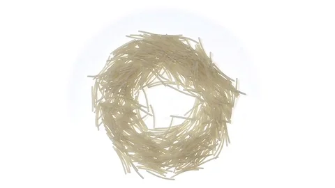 Egg pasta nest isolated on white background, looped Stock Footage 71128672