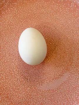 Egg on a patterned plate in a kitchen setting during the day Foto stock