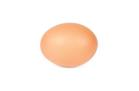 Egg Stock Photos