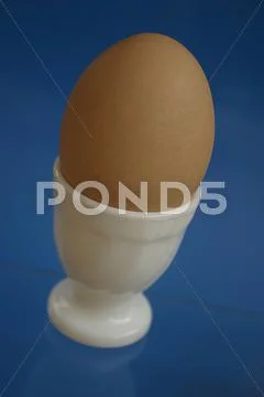 Egg Stock Photos