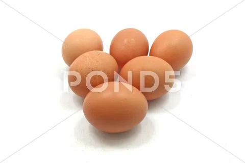 Egg Stock Photos