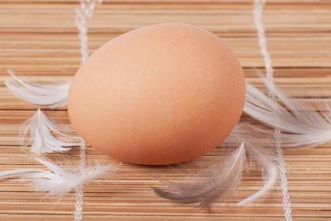 Egg Stock Photos