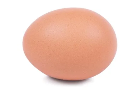 Egg Stock Photos