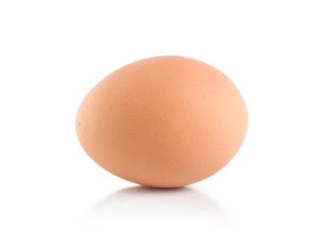 Egg Stock Photos