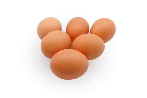 Egg Stock Photos