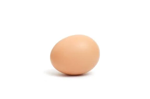 Egg Stock Photos