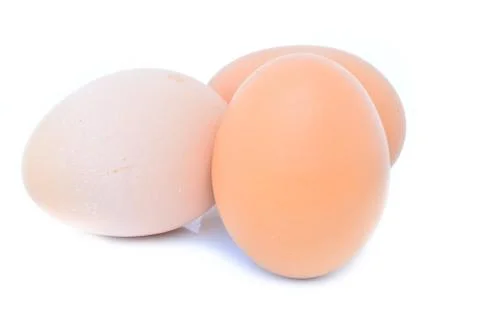 Egg Fotos de archivo