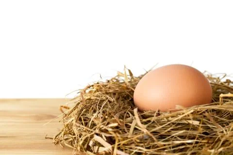 Egg Stock Photos