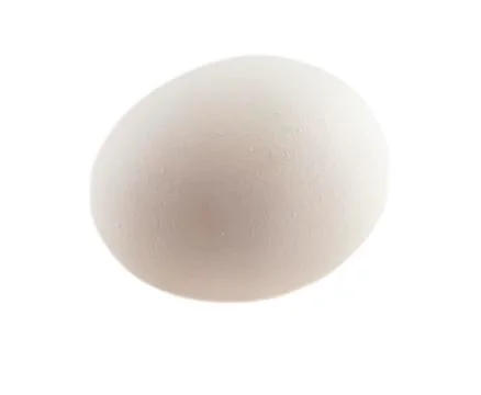Egg Stock Photos