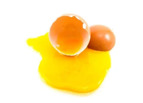 Egg Stock Photos