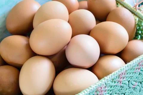 Egg Stock Photos