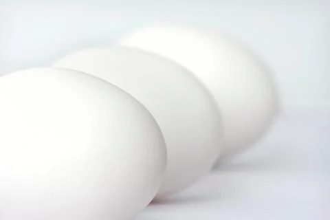 Egg Stock Photos