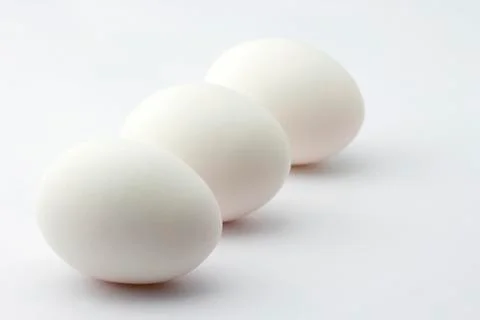 Egg Stock Photos