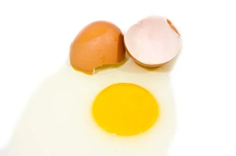 Egg Stock Photos