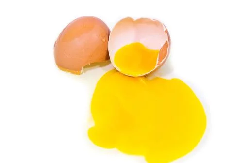 Egg Stock Photos