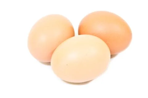 Egg Stock Photos
