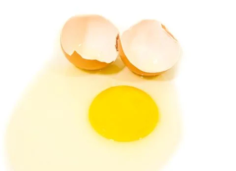 Egg Stock Photos