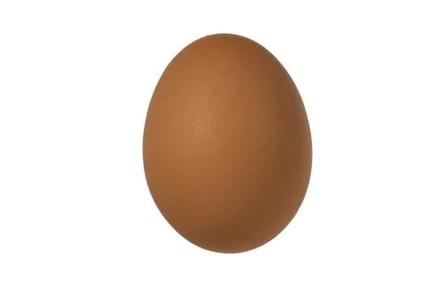 Egg Stock Photos
