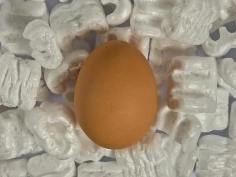 Egg Foto stock