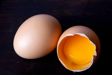 Egg Stock Photos