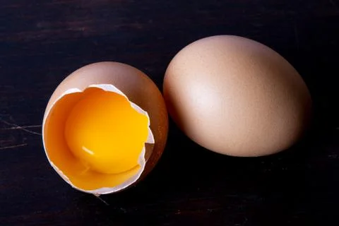 Egg Stock Photos