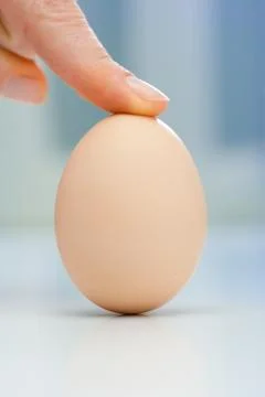 Egg Stock Photos