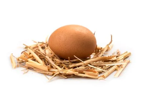Egg Stock Photos