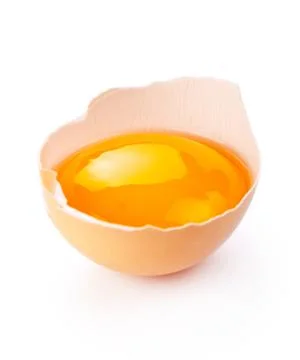 Egg Stock Photos