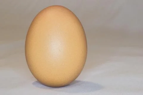 Egg Stock Photos
