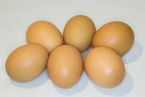 Egg Stock Photos