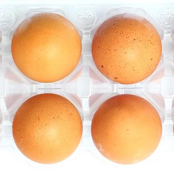 Egg Foto stock