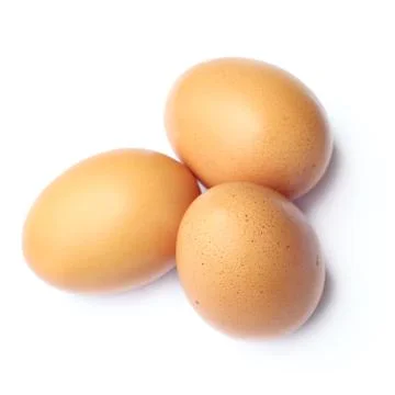 Egg Stock Photos