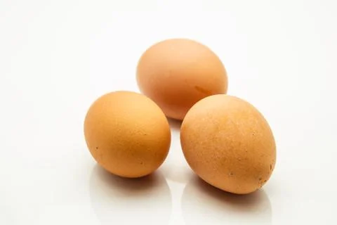 Egg Stock Photos