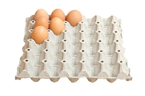 Egg Stock Photos