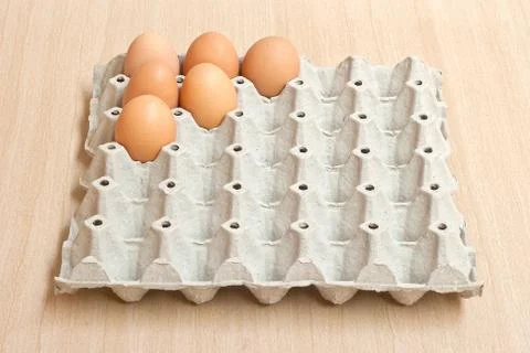 Egg Stock Photos