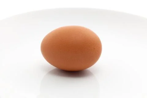 Egg Foto stock